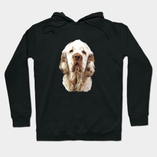 Clumber Spaniel Looking Gorgeous! Hoodie